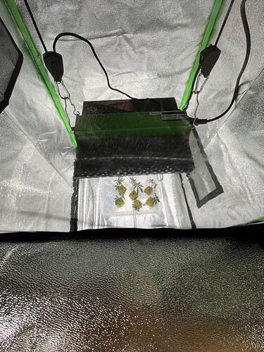 Growreport Bild 7