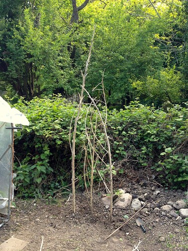 Growreport Bild 10