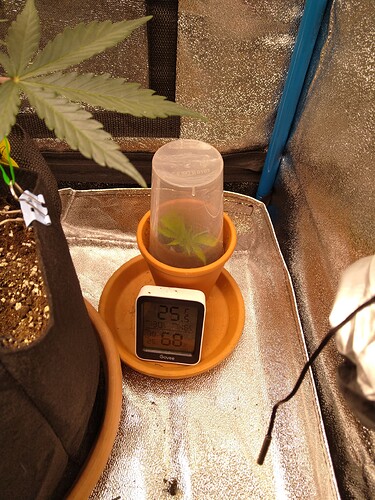 Growreport Bild 8