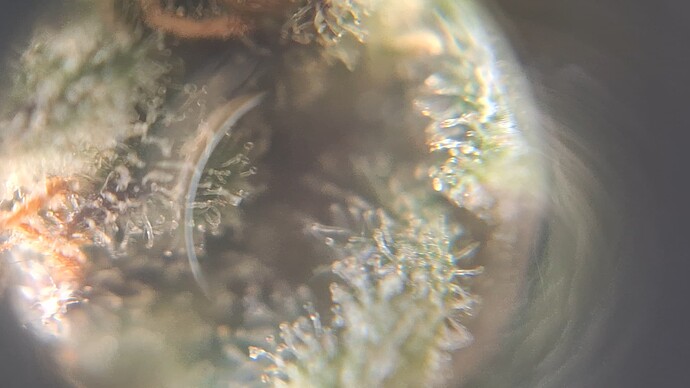 Growreport Bild 13