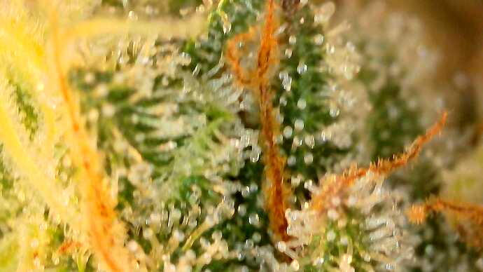 Growreport Bild 22