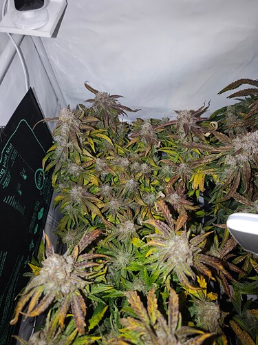 MVIMG_20251128_150011