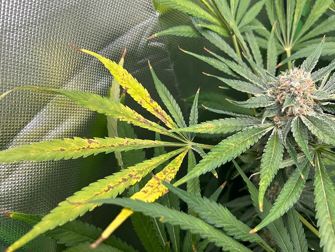 Growreport Bild 7