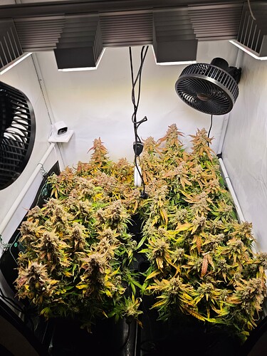 MVIMG_20251204_172126