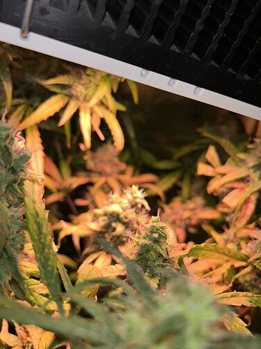 Growreport Bild 10