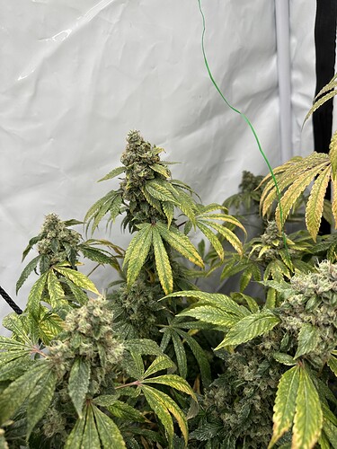 Growreport Bild 9