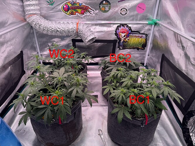 Growreport Bild 23
