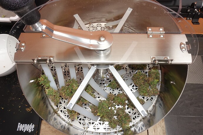 Growreport Bild 5