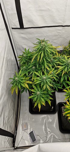 Growreport Bild 10