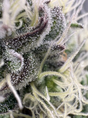 Growreport Bild 21