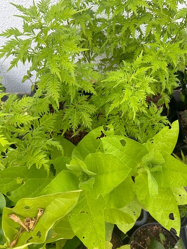 Growreport Bild 14