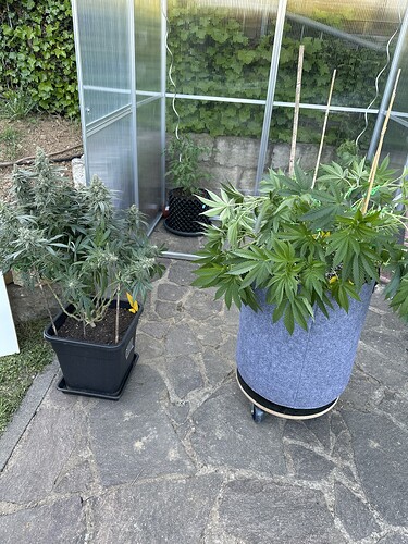 Growreport Bild 12