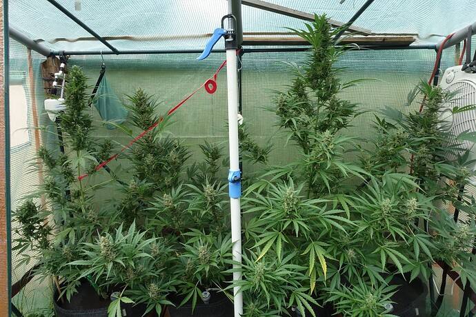Growreport Bild 18