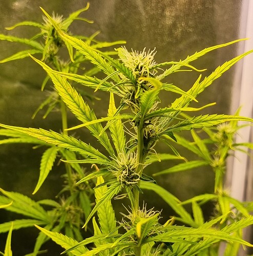 Growreport Bild 21
