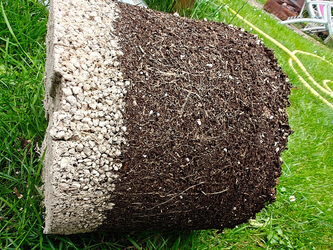 Growreport Bild 10