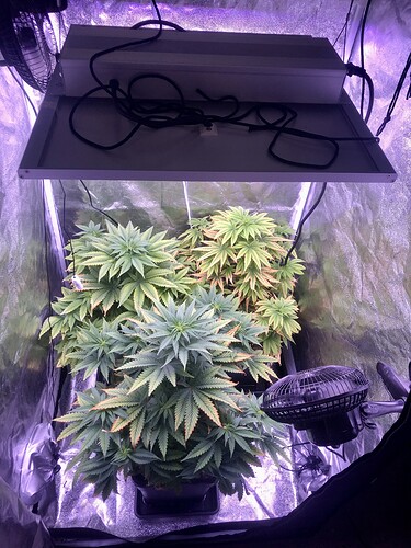 Growreport Bild 4