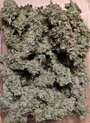 Growreport Bild 20