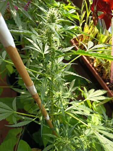 Growreport Bild 16