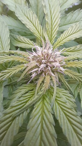 Growreport Bild 11