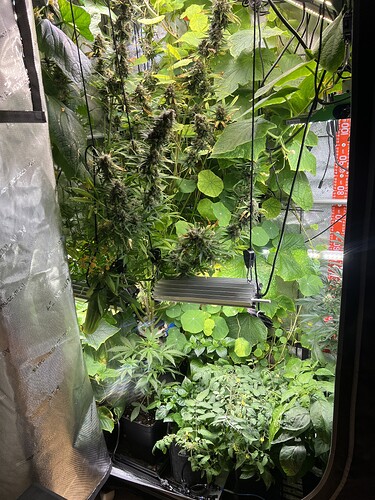 Growreport Bild 18