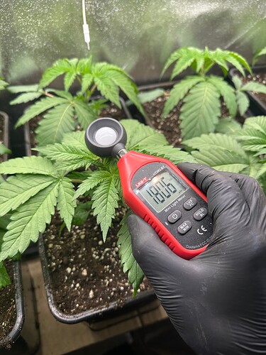 Growreport Bild 21