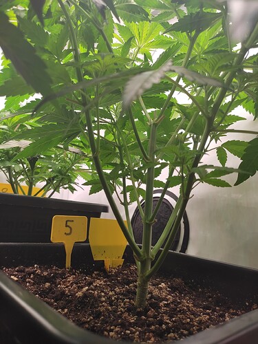Growreport Bild 6