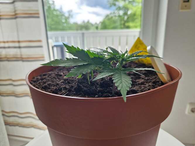 WhatsApp Image 2024-05-22 at 17.48.43