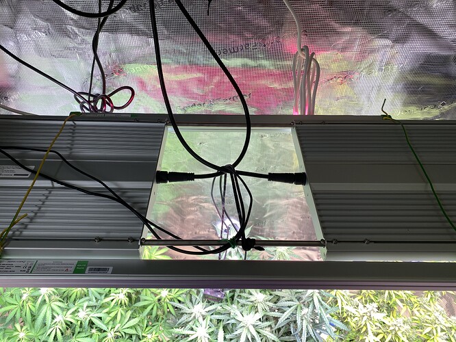 Growreport Bild 85