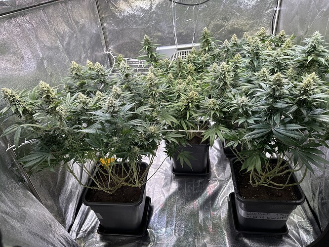 Growreport Bild 14