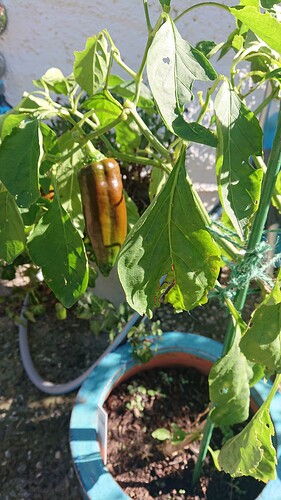 Growreport Bild 21