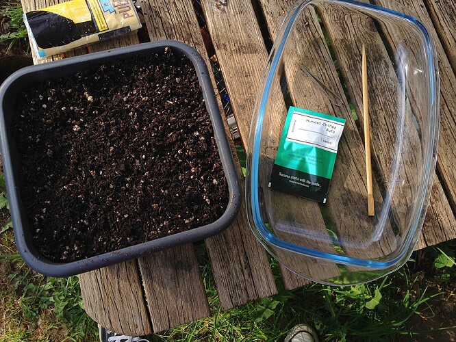 Growreport Bild 29