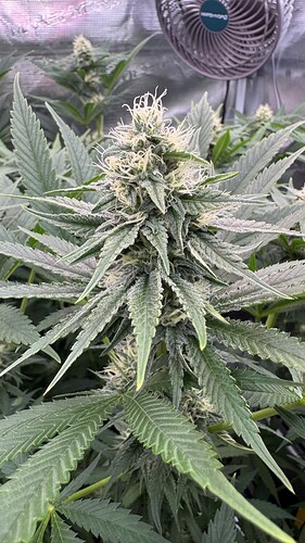 Growreport Bild 10