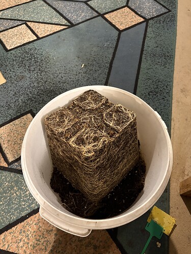 Growreport Bild 7