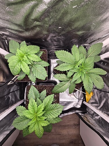 Growreport Bild 21