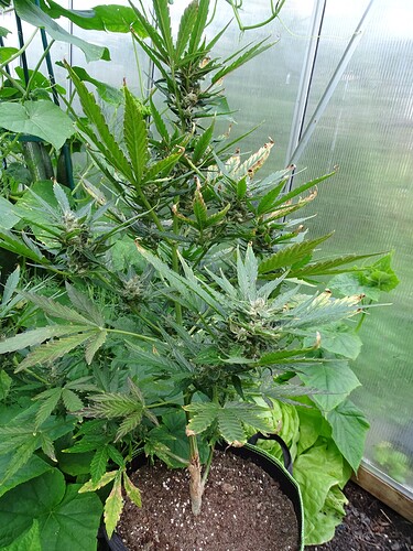 Growreport Bild 11