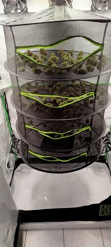 Growreport Bild 6