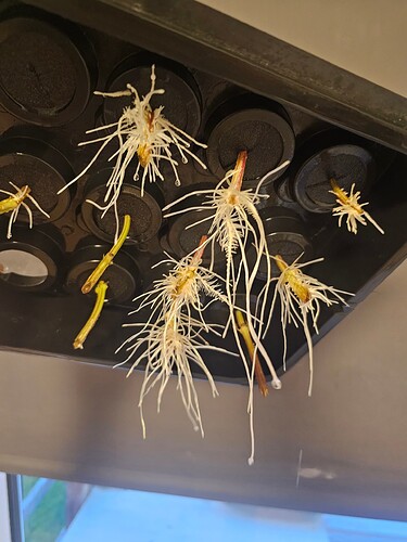 Growreport Bild 12