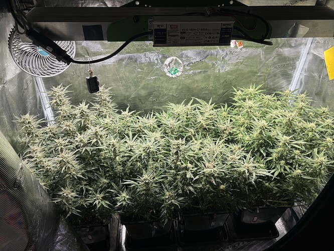 Growreport Bild 6