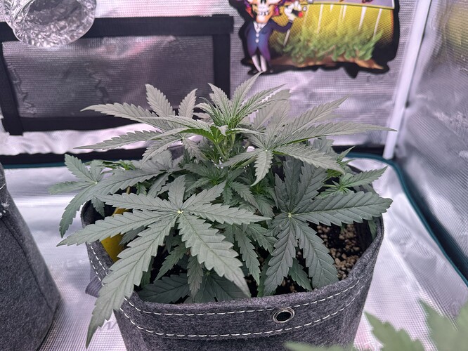 Growreport Bild 7