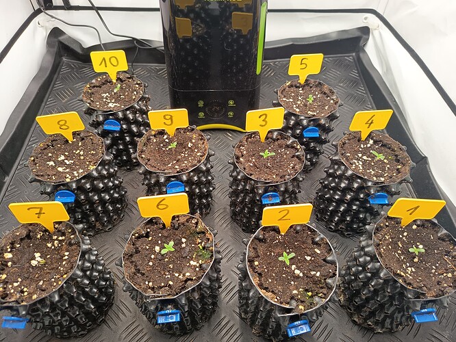 Growreport Bild 8