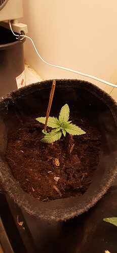 Growreport Bild 21
