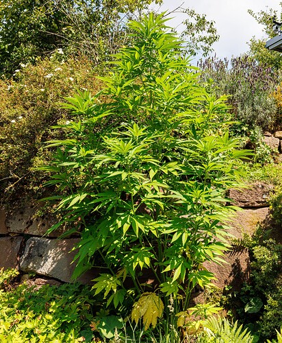 Day 83-outdoor