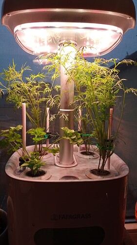 Growreport Bild 10