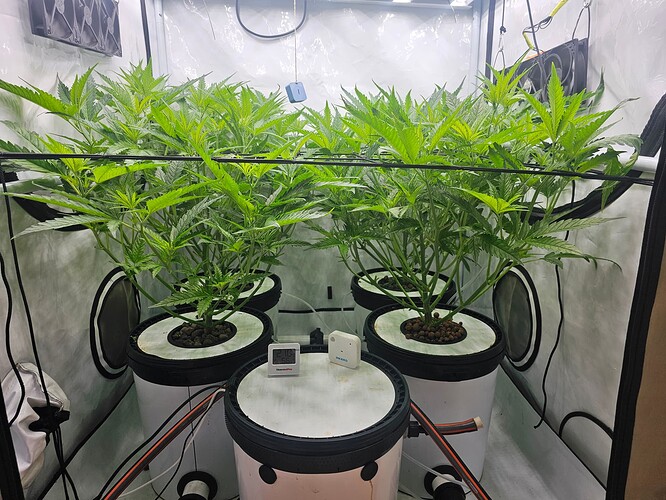 Growreport Bild 11