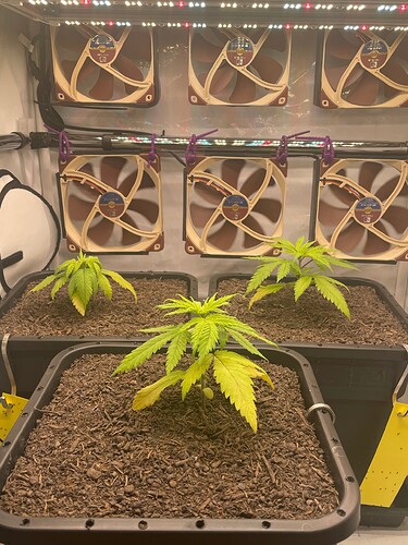 54699ACE-27FA-43EA-977B-0B9A25890B92