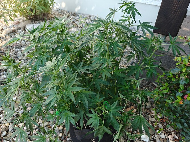 Growreport Bild 4