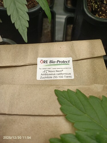 Growreport Bild 3