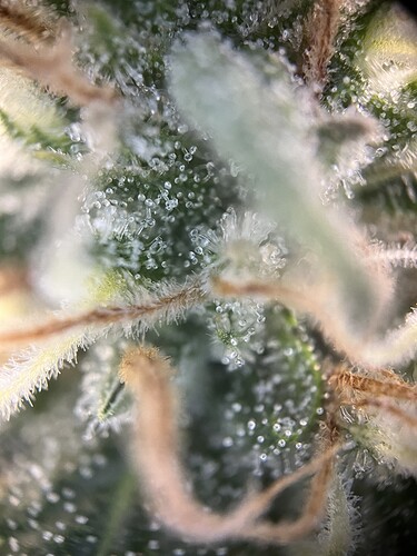 Growreport Bild 10
