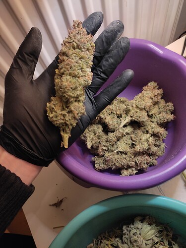 Growreport Bild 17