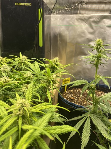 Growreport Bild 26